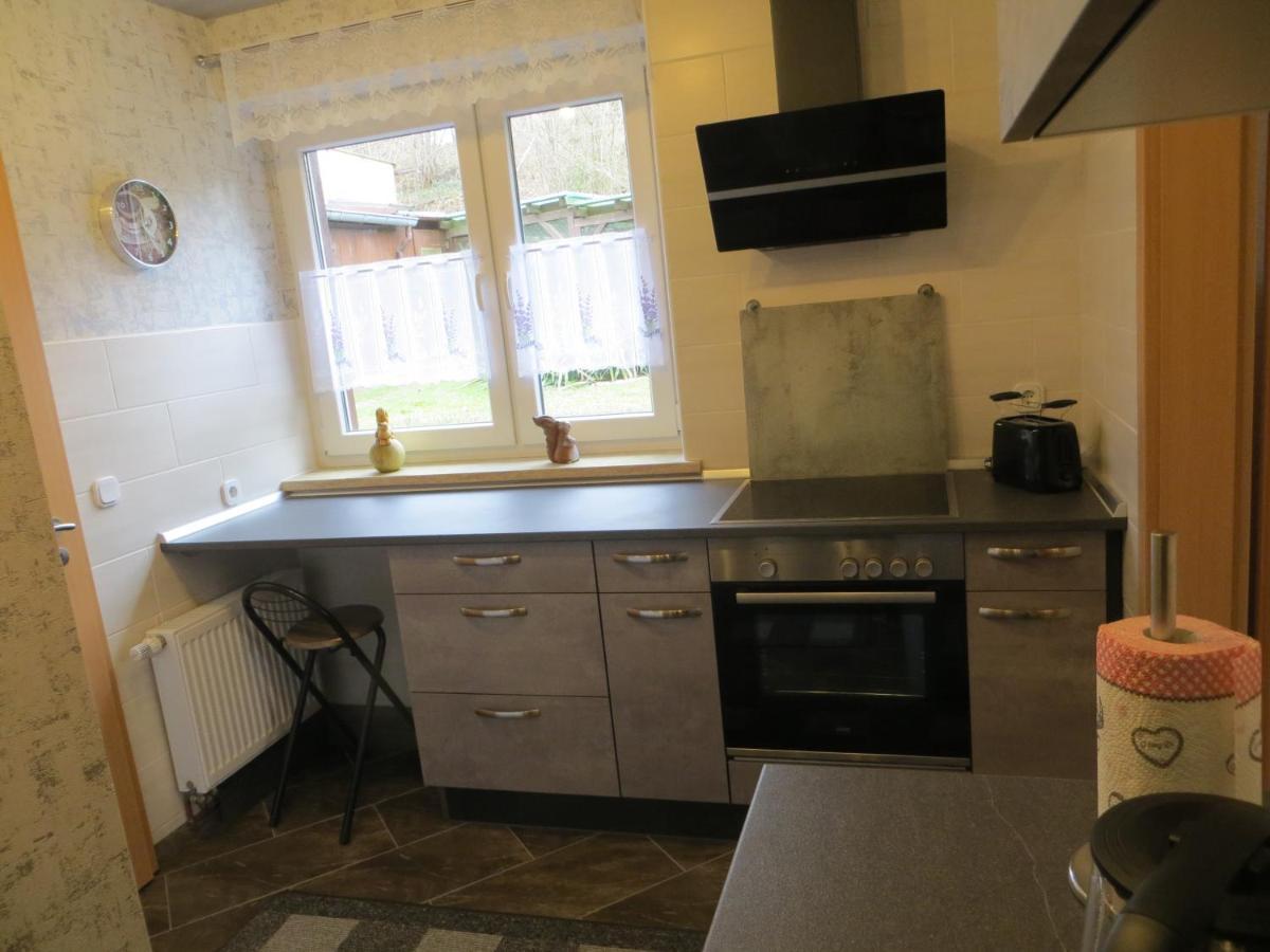 Ferienwohnung Beck Schneeberg Schneeberg  Ngoại thất bức ảnh